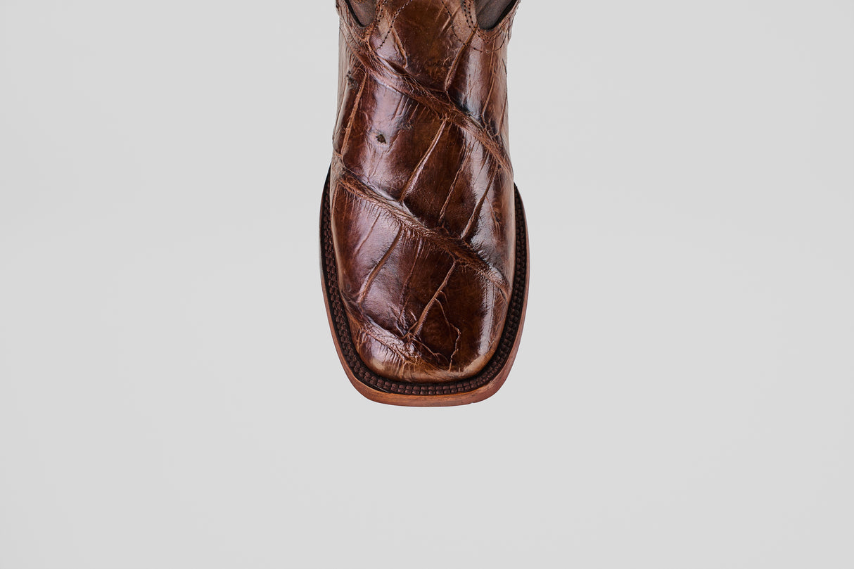 James - Tabaco - Square Toe (Alligator Hornback)