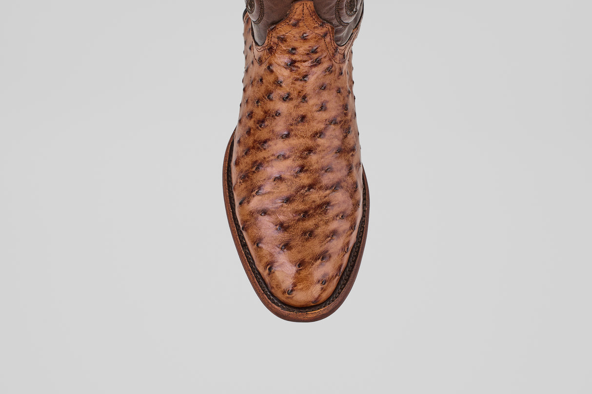 Austin – Kongo Brucciato – Roper Toe