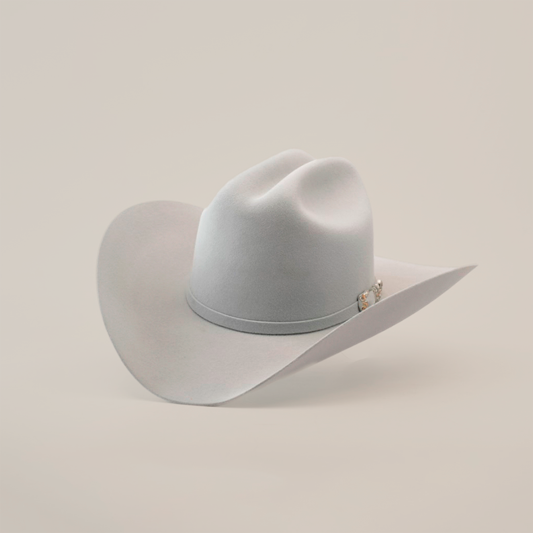 The 10X Jerarca Platinum, a gray fur felt cowboy hat with a wide brim and decorative band, exudes classic western style against a plain white backdrop.