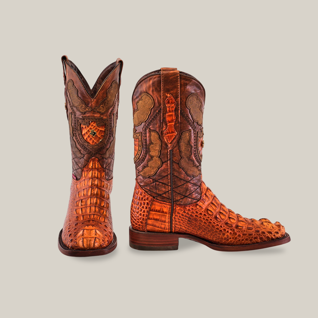 Alligator Male Boots Collection