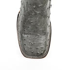 AV20 Avestruz Gris H-501