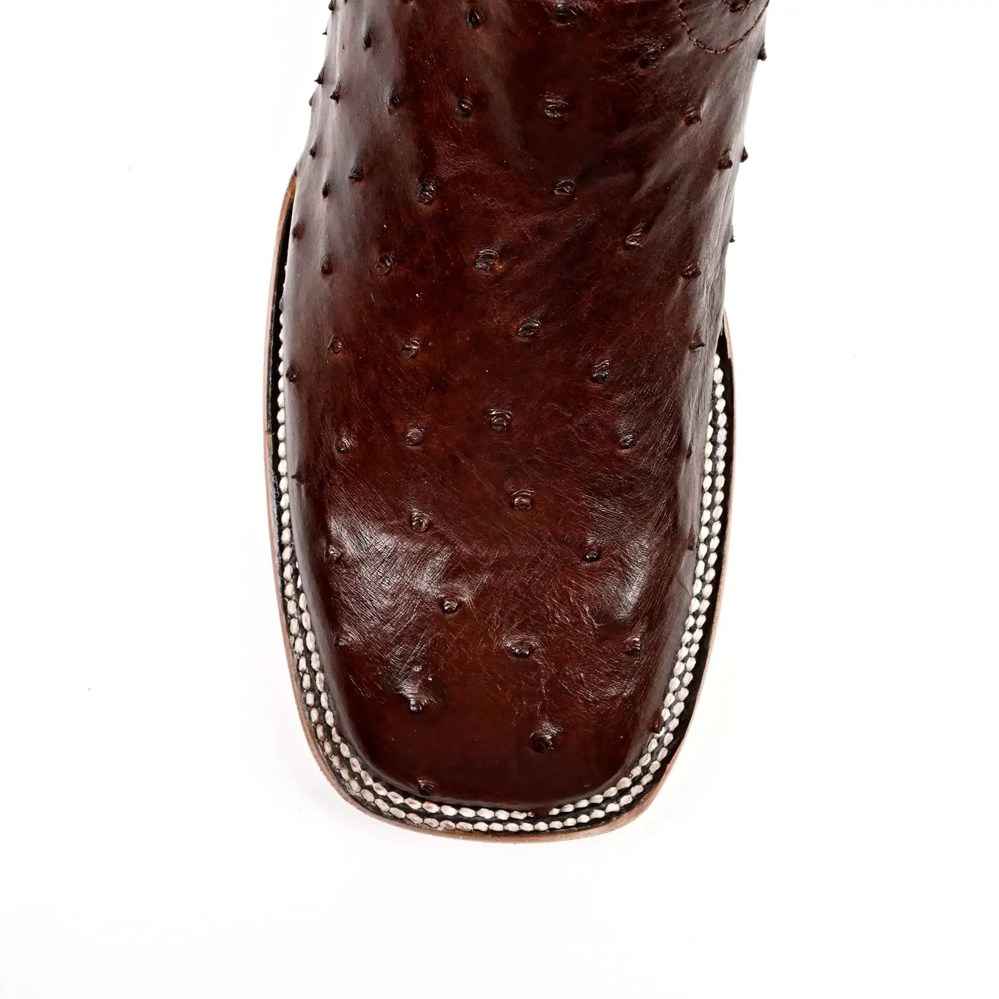 Austin Ostrich Boots - Brass - Square Toe (AV20) - Gomez Western Wear Bota Original Texas Country Gomez Western Wear