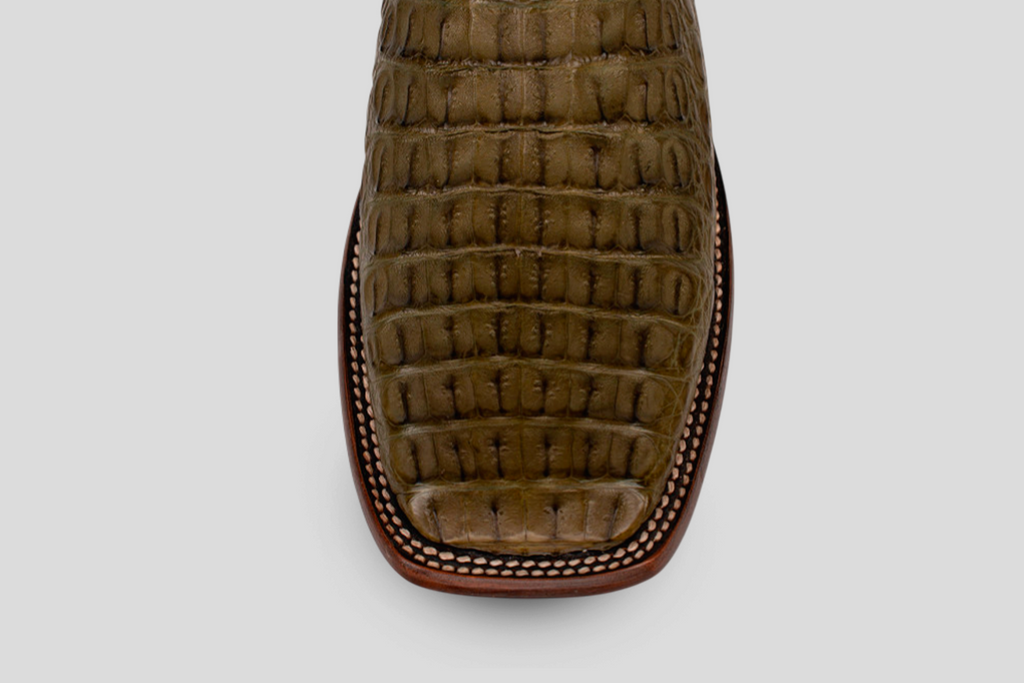Ranger - Oliva - Punta Cuadrada