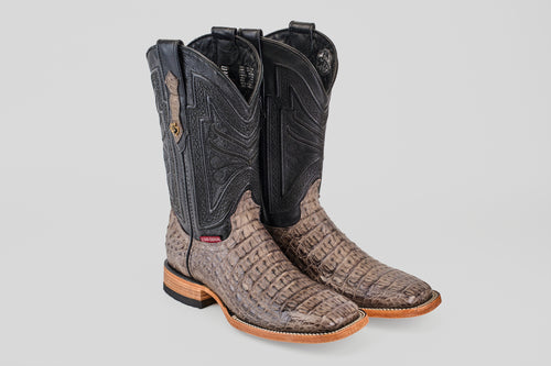 LM10 Lomo Caiman Serpentine