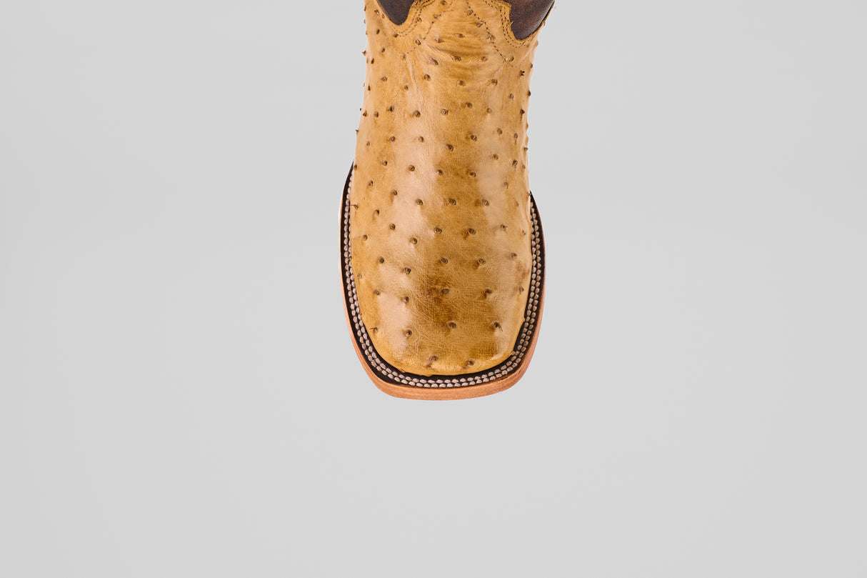 The Exotic Full Quilt Ostrich - Fawn - Square Toe boot features premium tan ostrich leather with decorative stitching, showcased from above on a plain grey background—an elegant square toe cowboy boot.