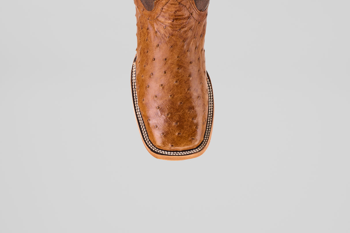A top view of the Exotic Full Quilt Ostrich - Brandy Brucciato boot features brown leather, a square toe, and decorative edge stitching in classic cowboy style, set against a plain light gray background.