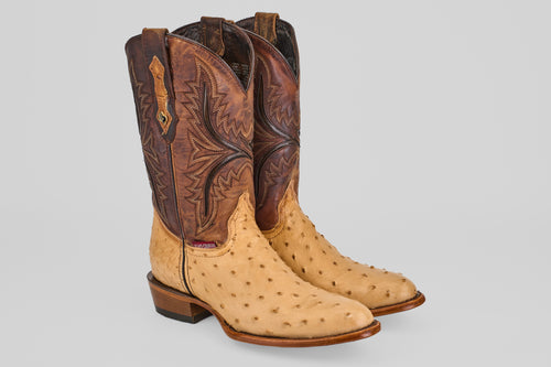 Austin - Orix - Round Toe