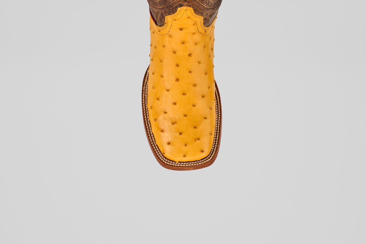 The Exotic Full Quilt Ostrich - Buttercup- Square Toe cowboy boot, handcrafted from yellow ostrich leather with a square toe, is shown from above on a light gray background.