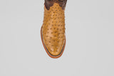 A top-down view of the Austin - Antique - Roper Toe boot in tan ostrich leather, featuring its distinctive texture and pointed toe, displayed against a plain white background.