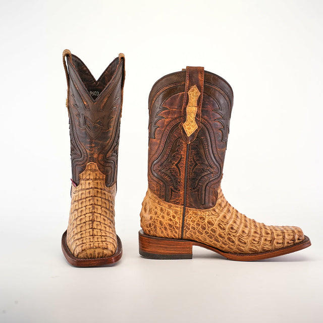 A pair of Exotic Caiman Hornback - Antique - Rodeo Toe boots, one forward and one to the side. Made from genuine caiman leather, they display a light brown textured crocodile pattern below and dark brown leather with intricate stitching above.