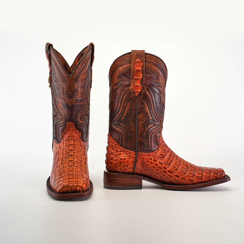 Exotic Caiman Hornback - Brandy - Rodeo Toe