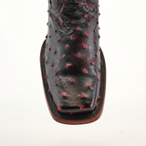 Close-up of an Exotic Ostrich - Black Cherry boot featuring a Rodeo toe, intricate red dot embellishments, and detailed stitching on black ostrich leather, set against a plain white background.