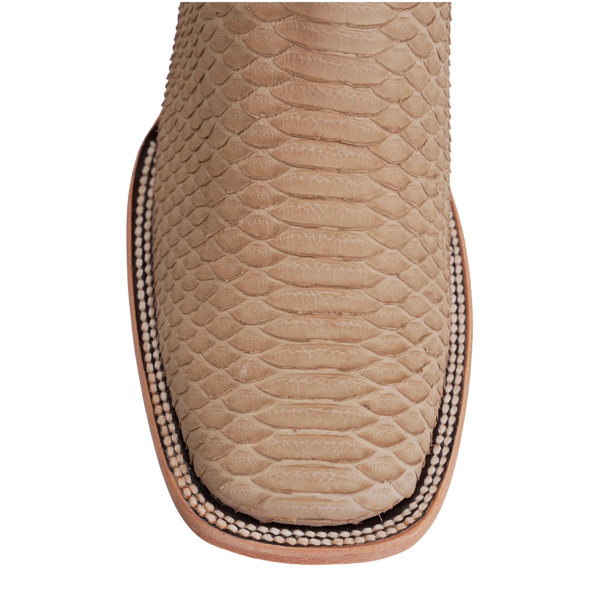 PN30 Python Capuchino