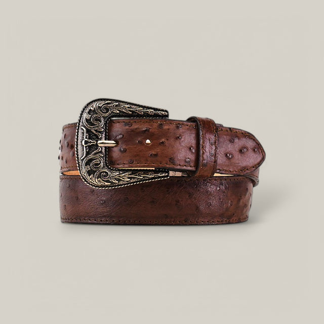 The Exotic Full Quilt Ostrich Brown Belt, featuring a textured pattern, is stylishly adorned with an intricately designed Texas buckle and elegantly coiled against a neutral backdrop.