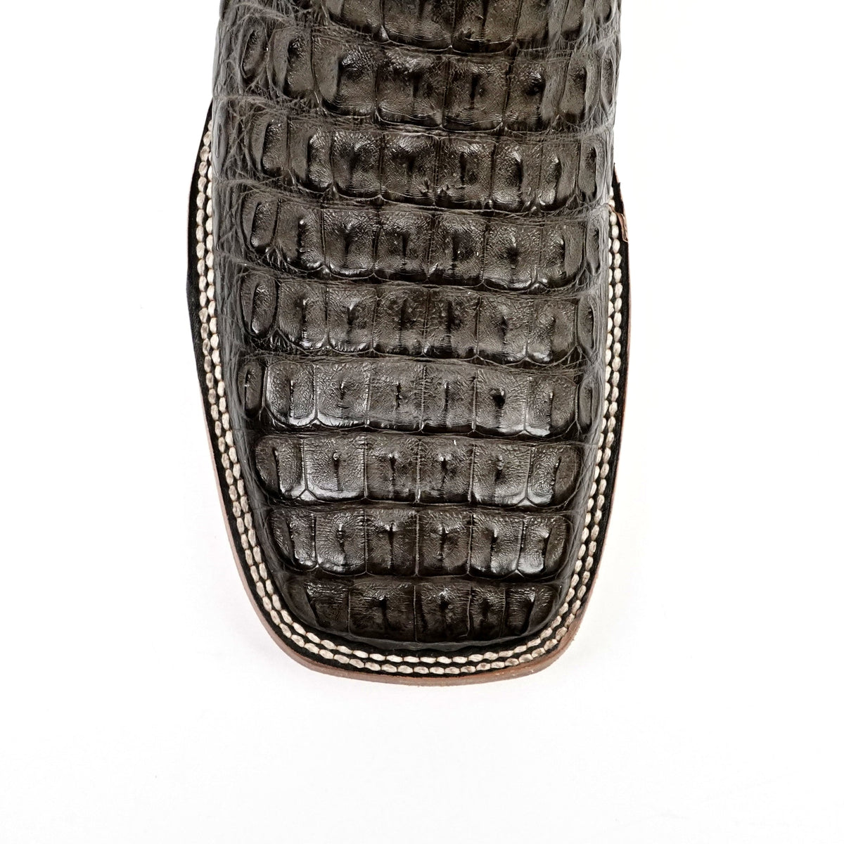 Rhodes Caiman Hornback Boots - Serpentine - Square Toe (LM10) - Gomez Western Wear