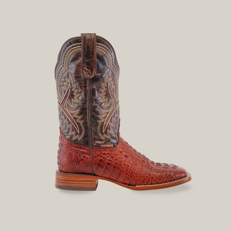 The Caiman Hornback Print Cogñac - Square Toe boot features a rich Caiman Hornback Print in Cognac on premium cowhide, intricate stitching, and a low wooden heel, all set against a white background.