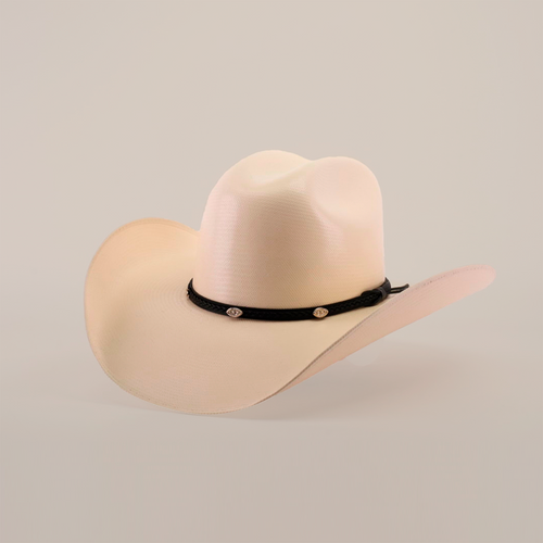 1000X Chihuahua  Sombrero TC