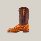 The Exotic Pirarucu Fish - Brandy - Square Toe is a single cowboy boot made from shiny, textured orange pirarucu fish leather with a dark brown upper shaft showcasing intricate patterns, set against a plain beige background.